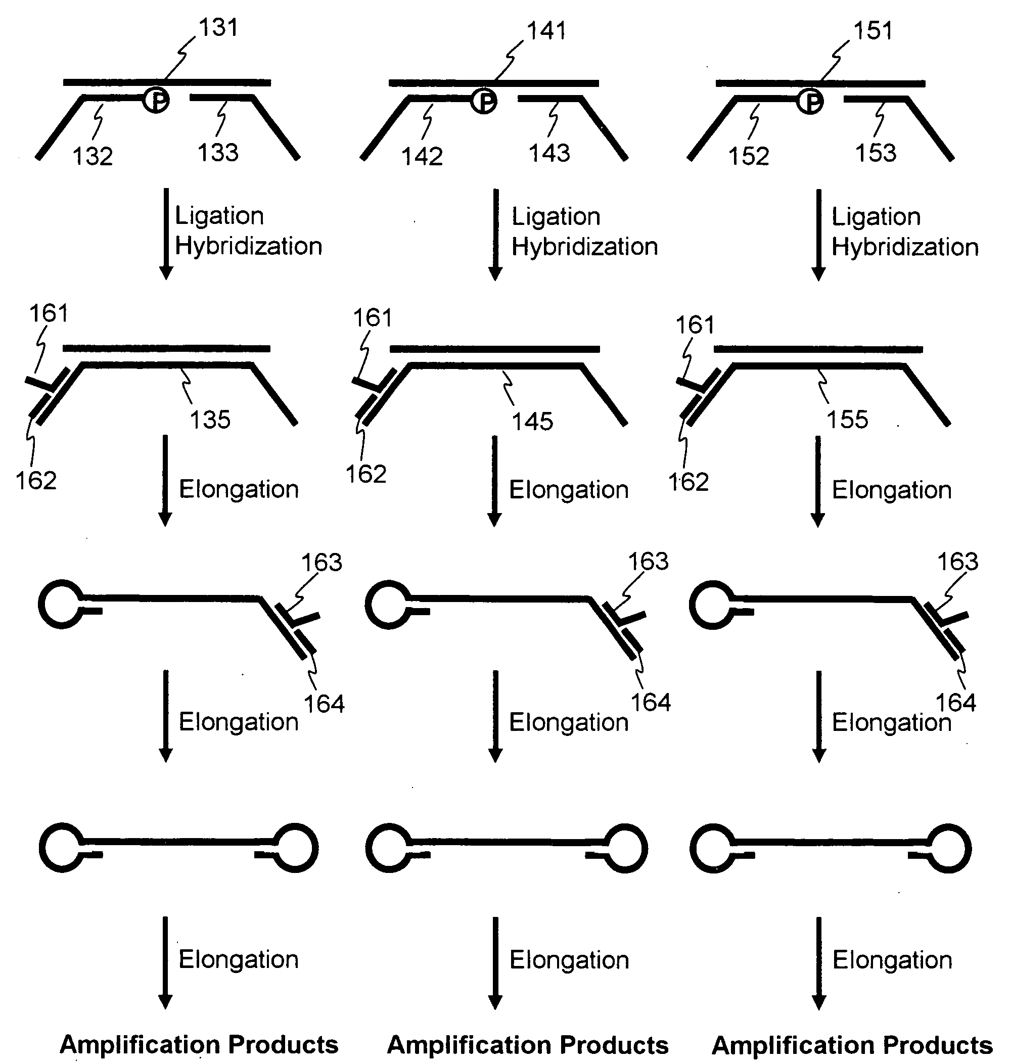 Nucleic acid amplification method