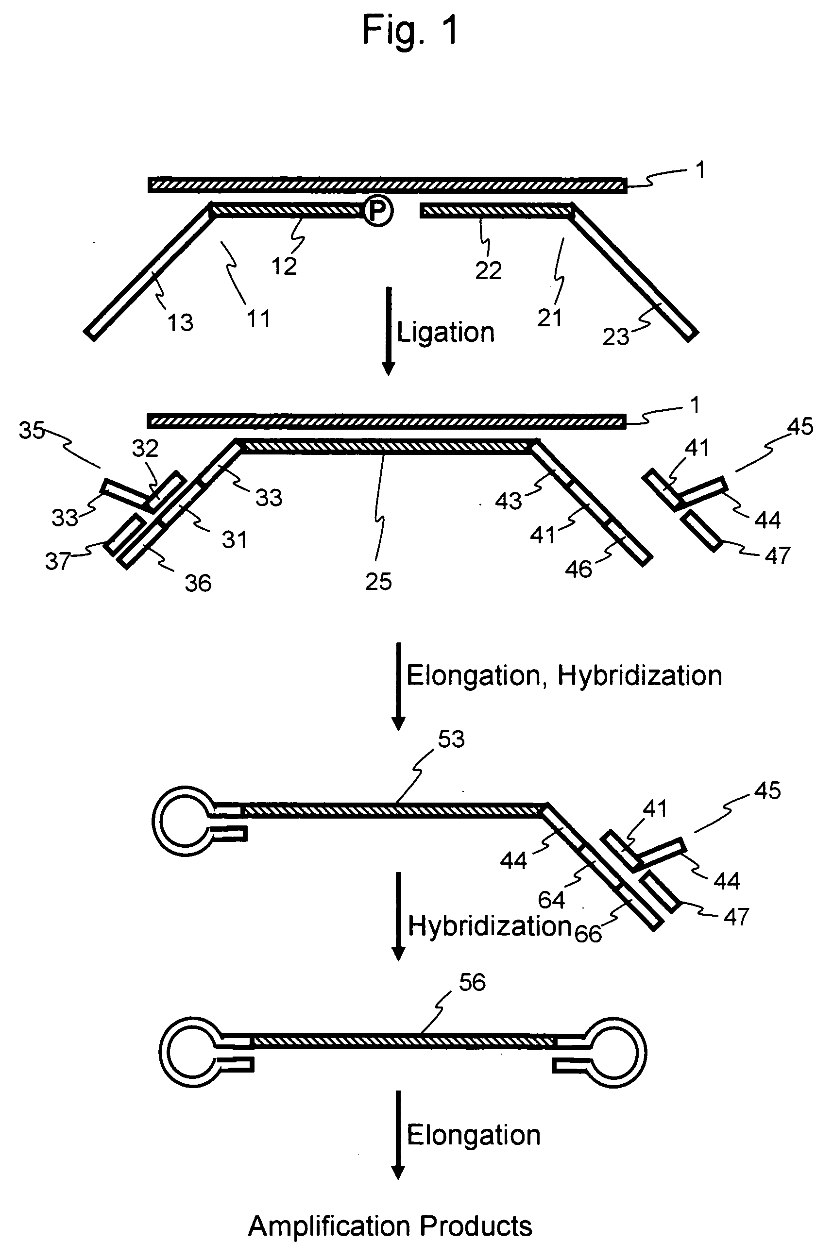 Nucleic acid amplification method