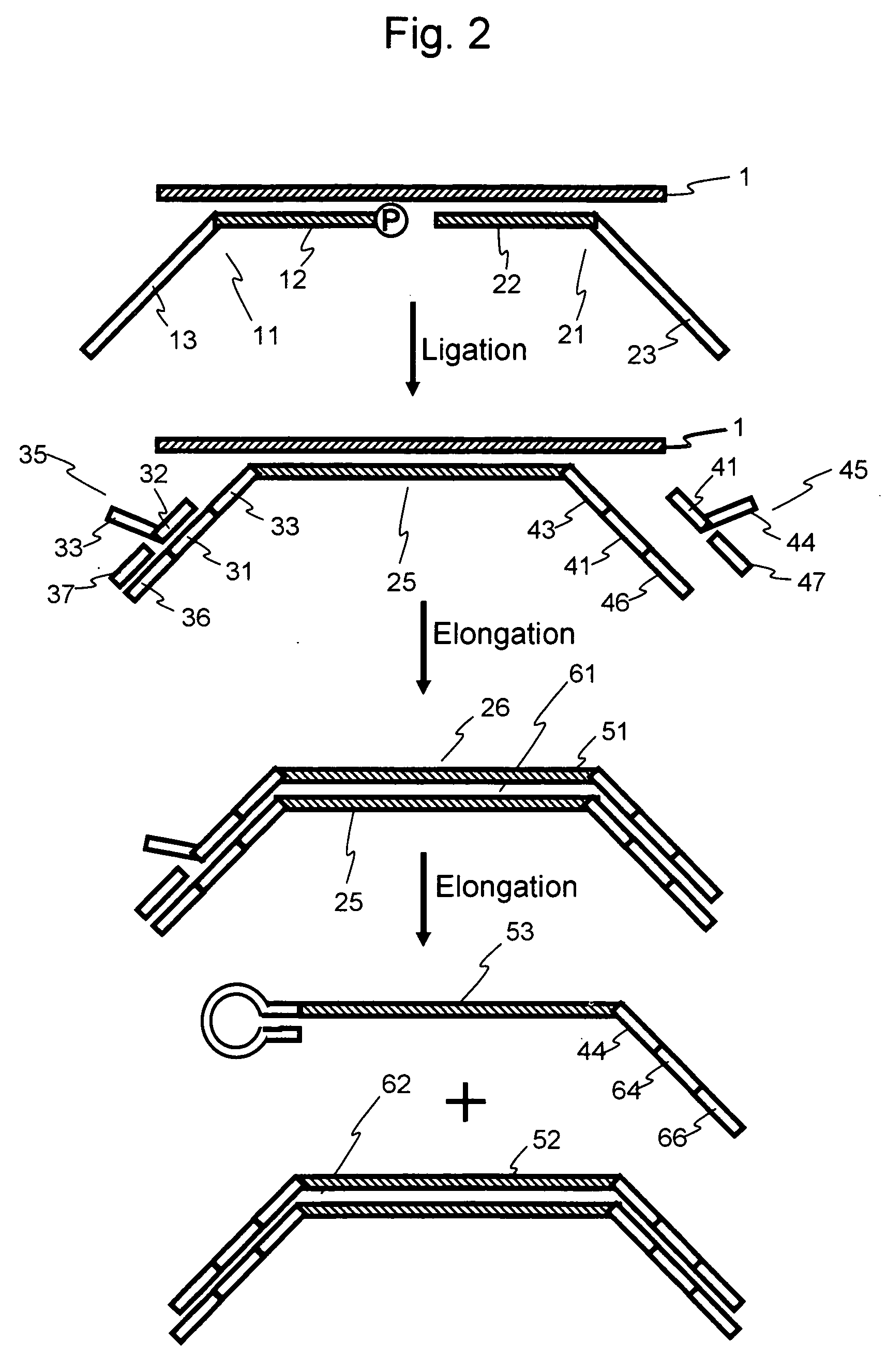 Nucleic acid amplification method