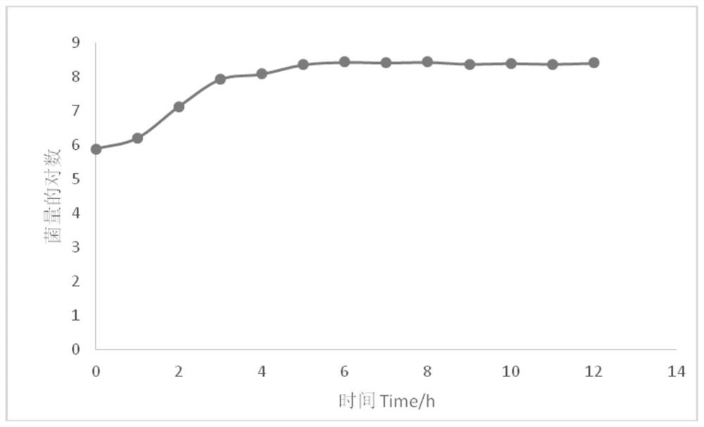 Traditional Chinese medicine composition for preventing and treating duck colibacillosis and preparation method and application thereof