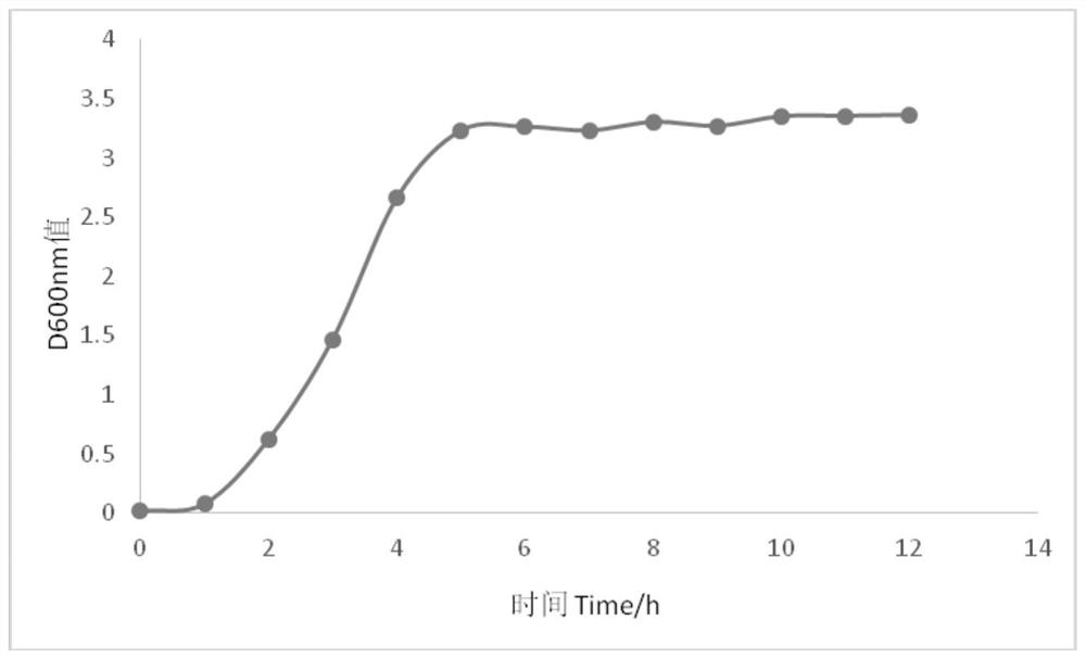 Traditional Chinese medicine composition for preventing and treating duck colibacillosis and preparation method and application thereof