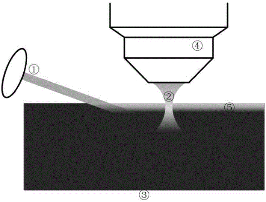 Fluorescence control method of light-controlled fluorescent protein marker biological tissue embedding sample