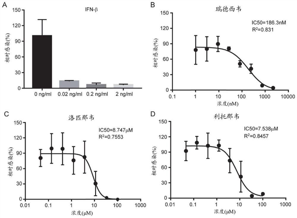 Viral structural protein genetic complement based coronavirus cell model