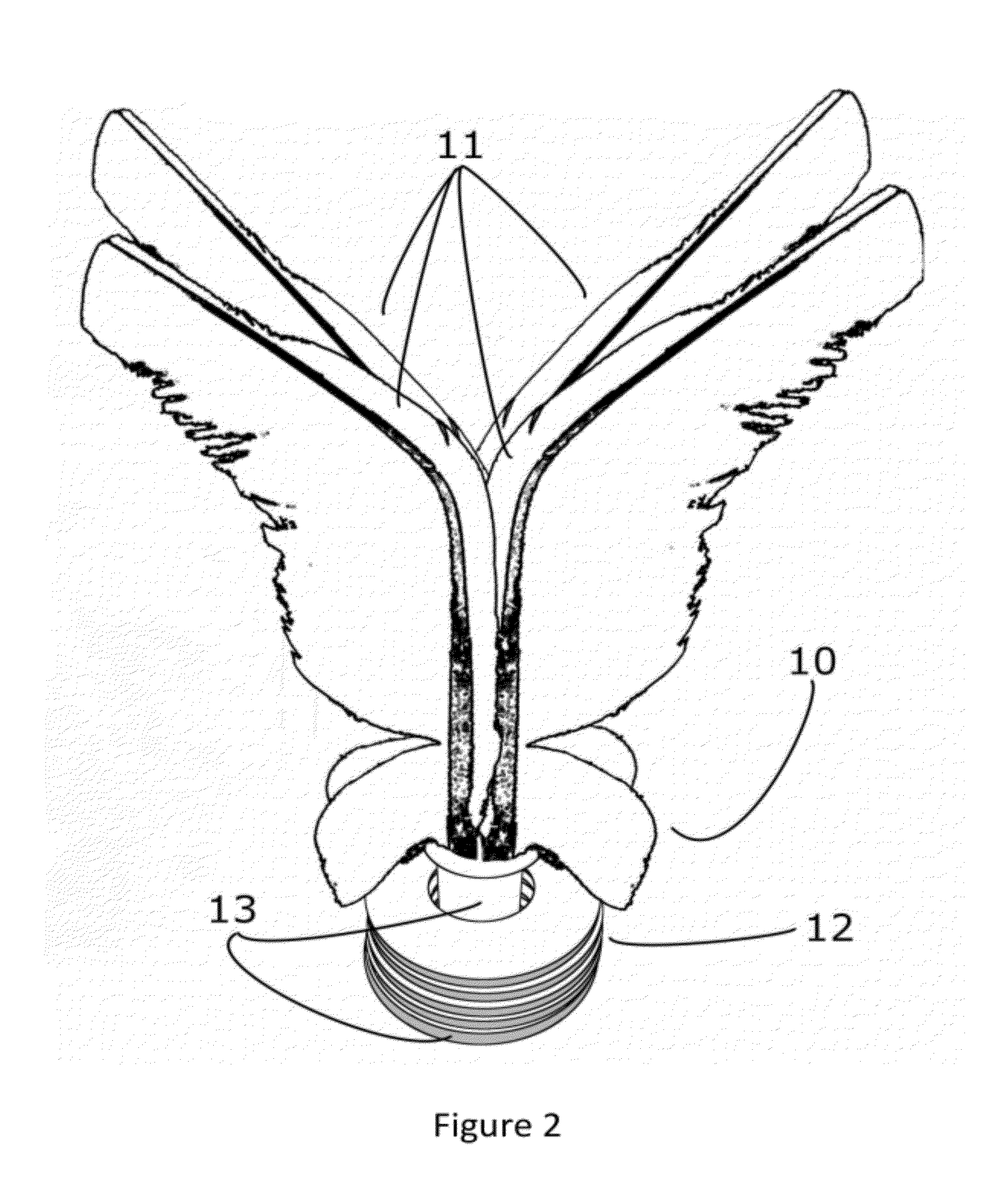 Game, fitness, strengthening and rehabilitation, coordination improvement device, shuttlecock, and customizable collectible