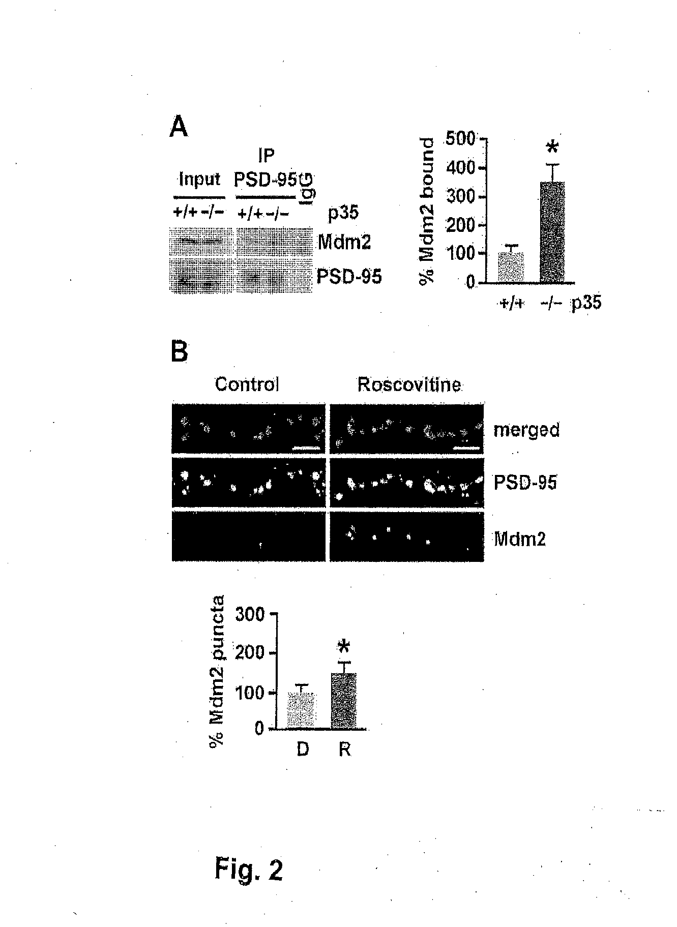 Modulation of ubiquitination of synaptic proteins for the treatment of neurodegenerative and psychiatric disorders