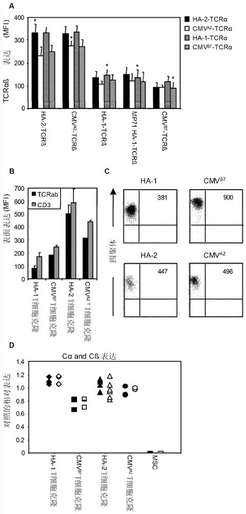 Binding proteins specific for ha-1h and uses thereof