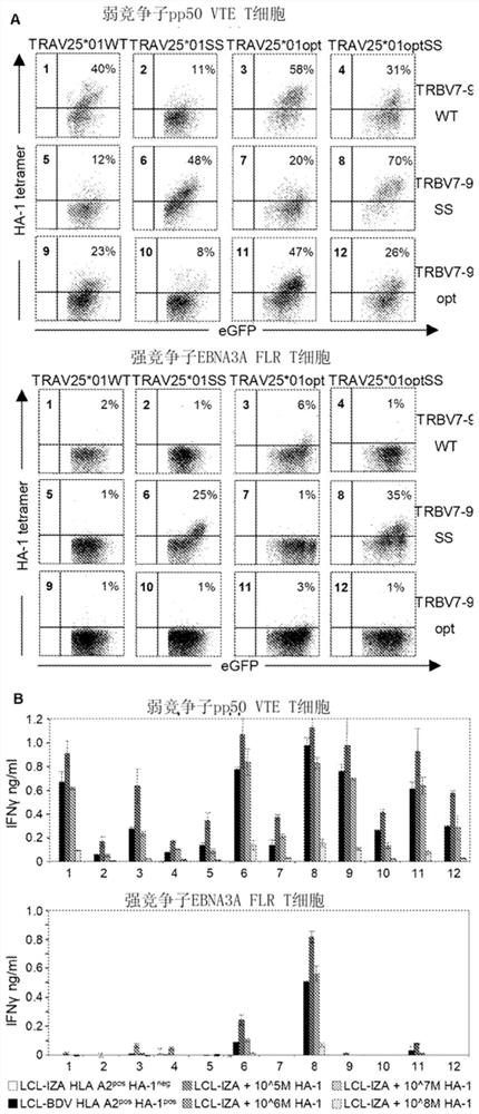 Binding proteins specific for ha-1h and uses thereof