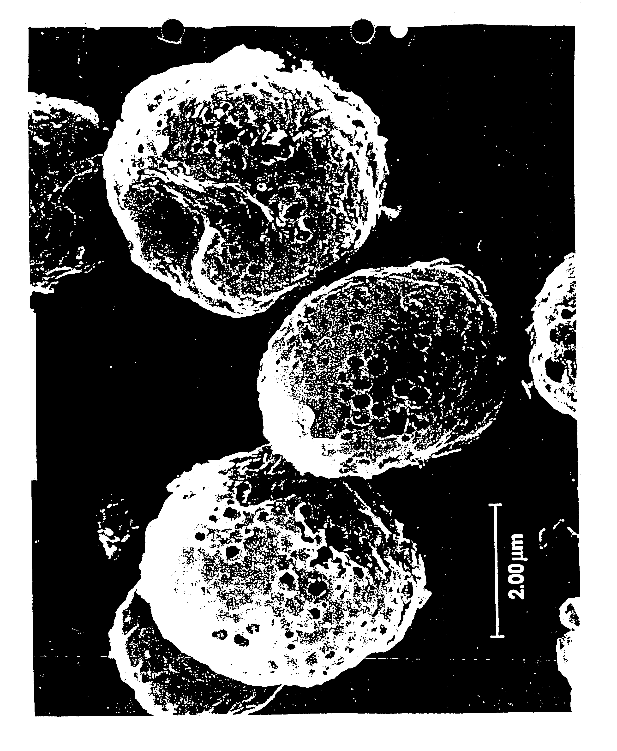 Stabilized preparations for use in nebulizers