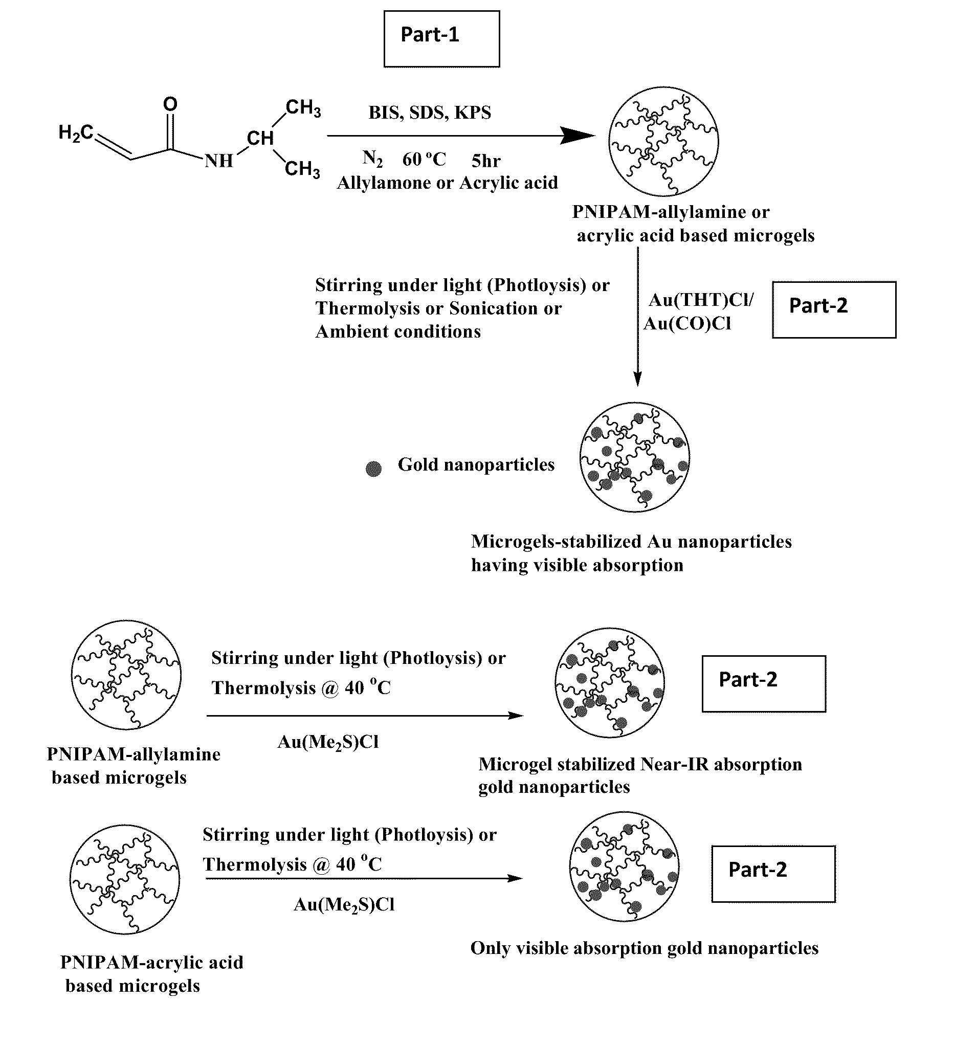 Gold, silver, and copper nanoparticles stabilized in biocompatible aqueous media