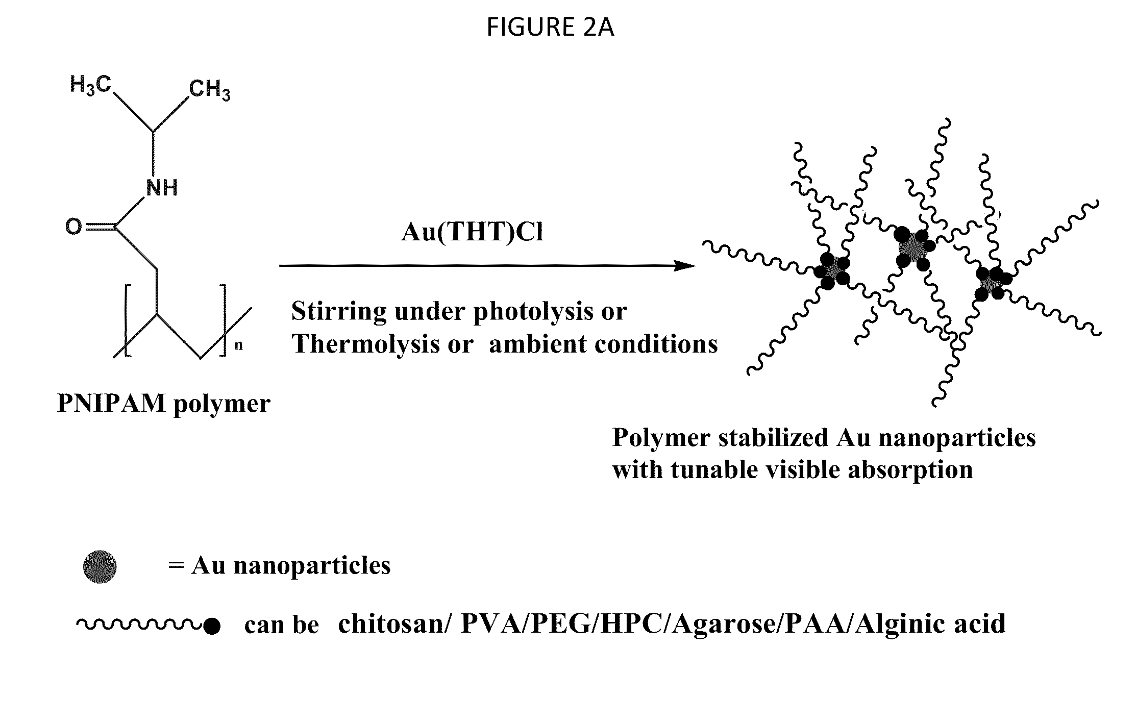 Gold, silver, and copper nanoparticles stabilized in biocompatible aqueous media