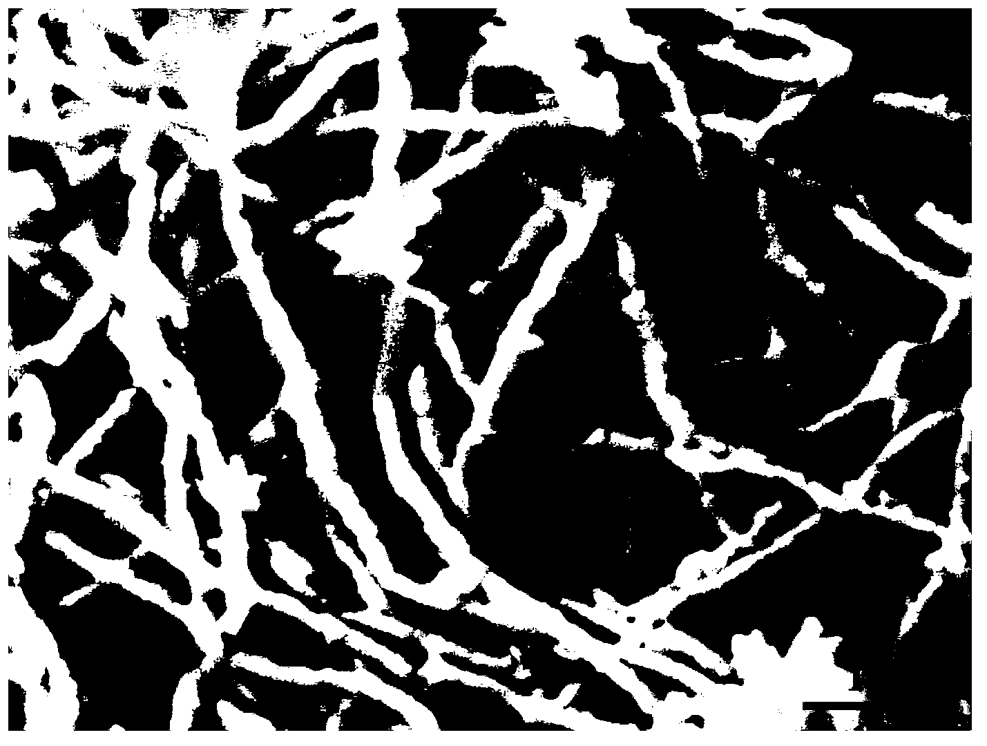 One-dimensional SYCO cathode material and preparation method and method to prepare composite cathode by using the cathode material