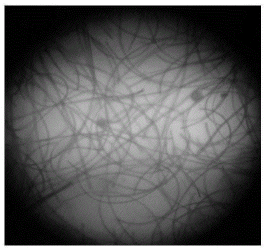 Scattering treatment method for hydrophilic chopped fiber for fracturing