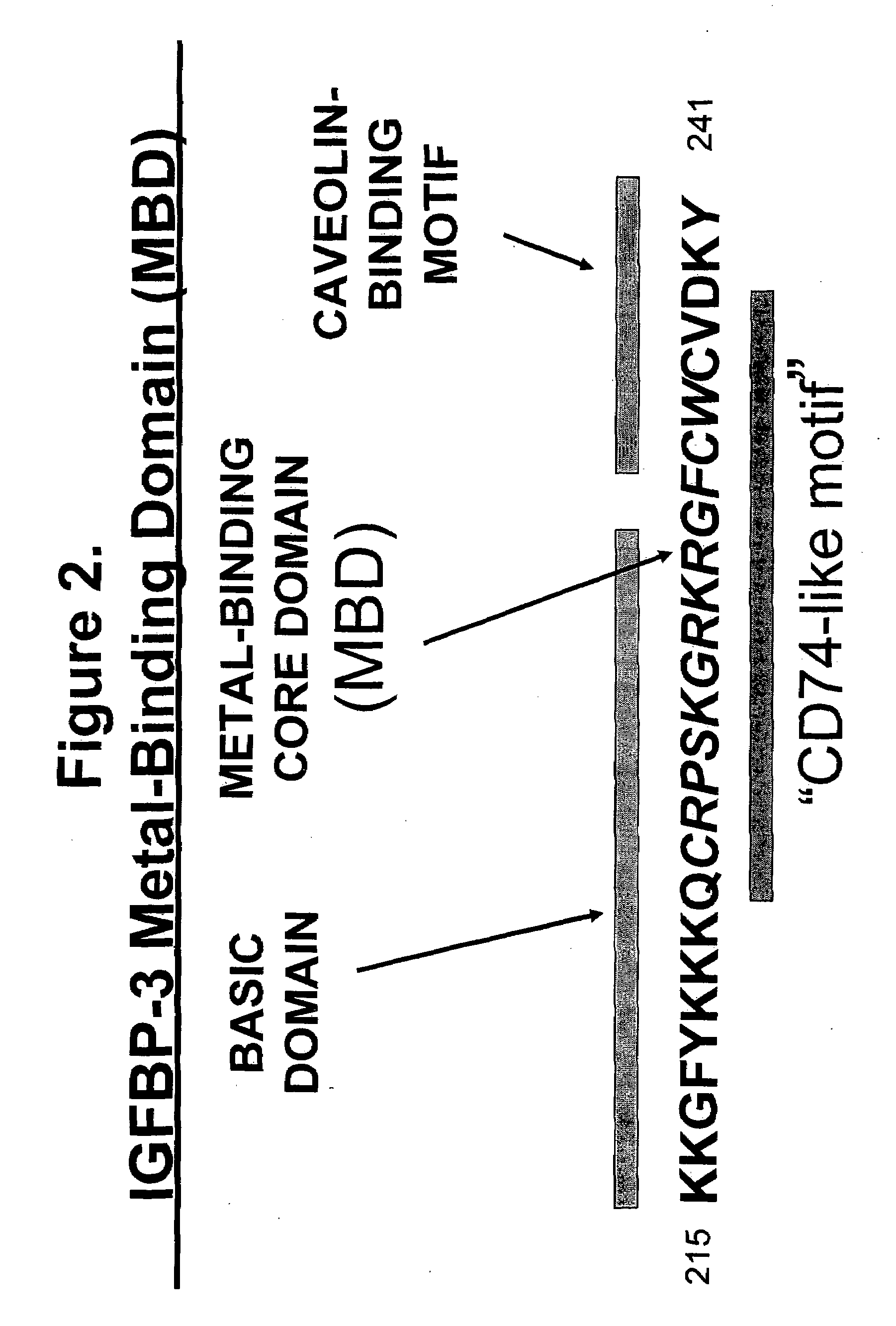 Metal-binding therapeutic peptides