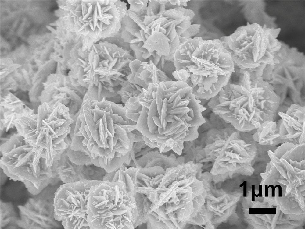 A kind of preparation method of gold nanoflowers in ionic liquid aqueous solution