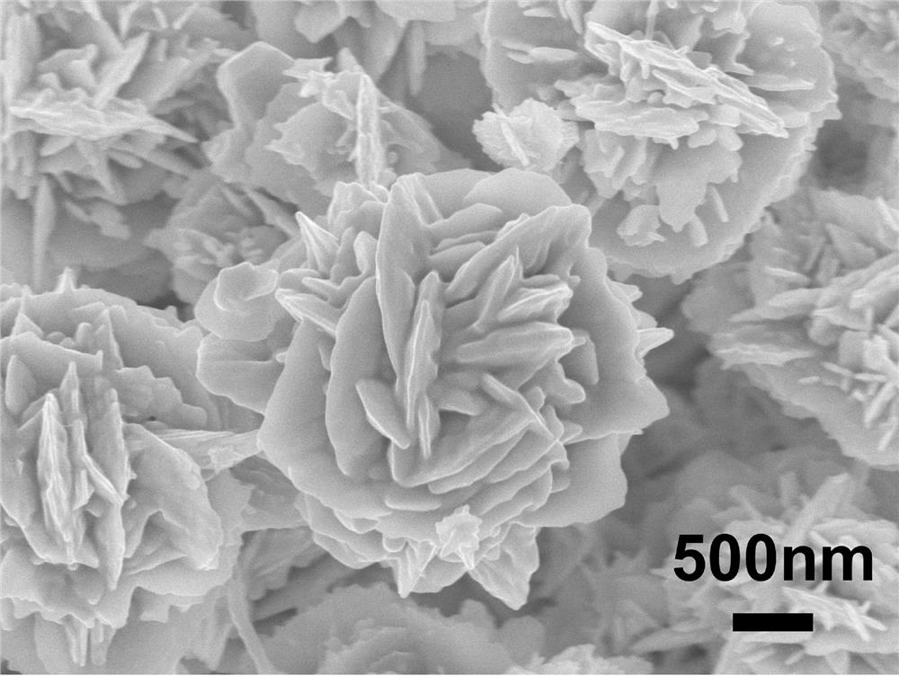 A kind of preparation method of gold nanoflowers in ionic liquid aqueous solution