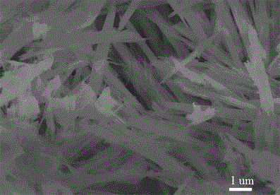 Prussian-blue derivative Cd2[Fe(CN)6] nanorod and preparation method thereof