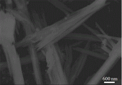 Prussian-blue derivative Cd2[Fe(CN)6] nanorod and preparation method thereof