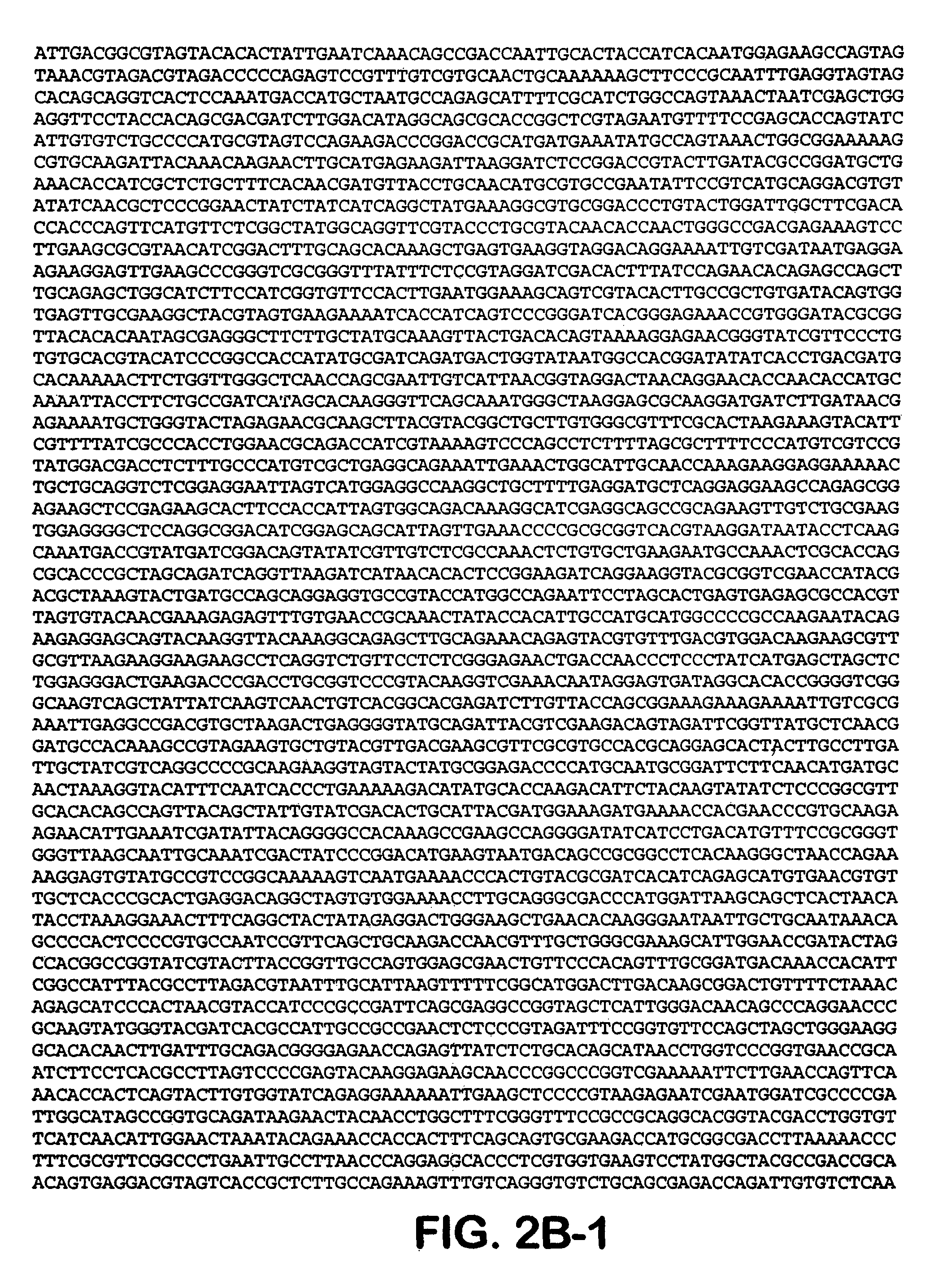 Compositions and methods for generating an immune response utilizing alphavirus-based vector systems