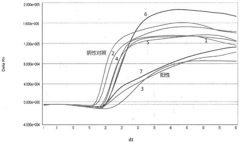 A Coxsackie virus type a16 (ca16) real-time fluorescent nucleic acid constant temperature amplification detection kit