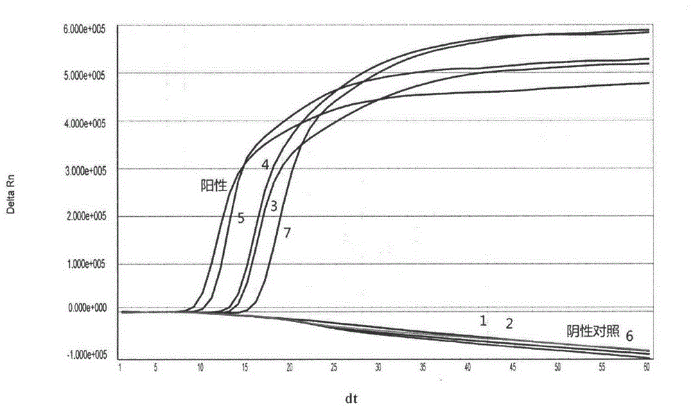 A Coxsackie virus type a16 (ca16) real-time fluorescent nucleic acid constant temperature amplification detection kit