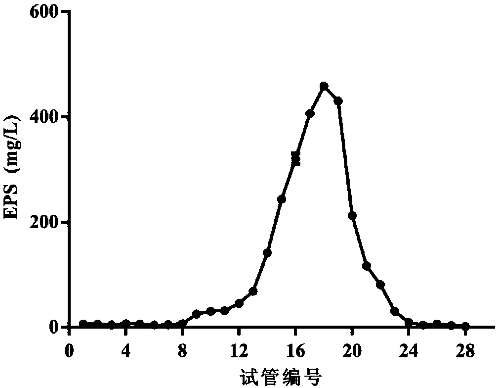 Lactic acid bacteria extracellular polysaccharide and immune adjuvant