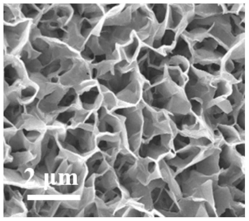 A dual-functional electrolytic water electrode with superwetting property and its preparation method