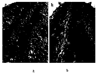 Simple trichoderma-straw microbial fertilizer preparation method