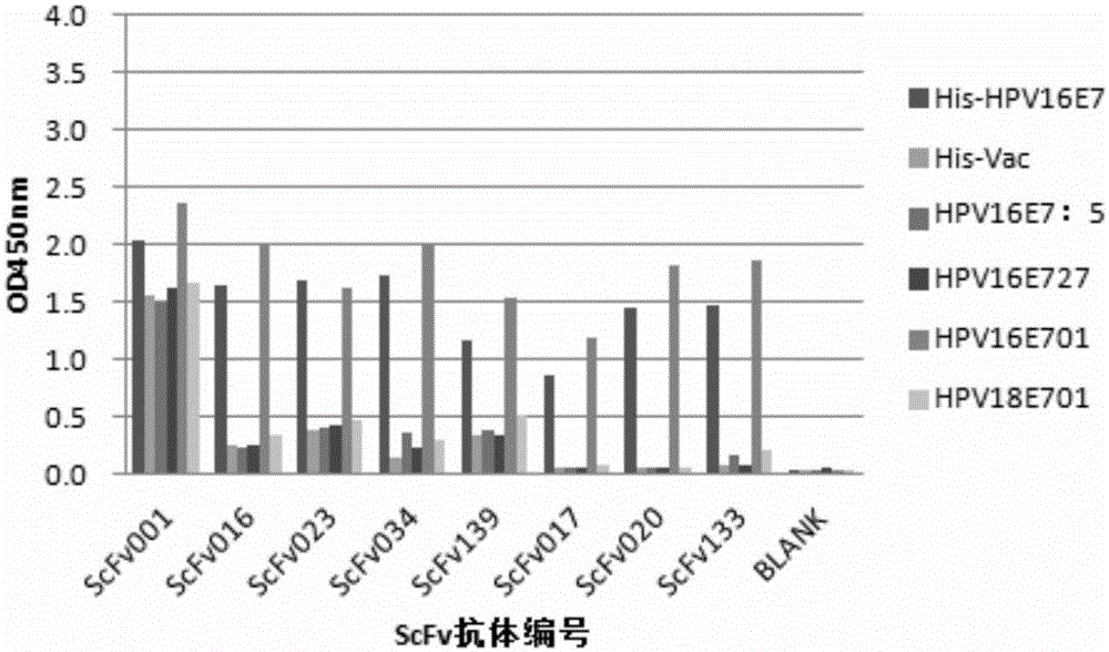 Monoclonal antibody for detection and classification of cervical cancer and application thereof