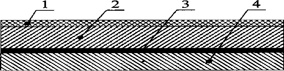 Chemical mechanical polishing pad and chemical mechanical polishing method