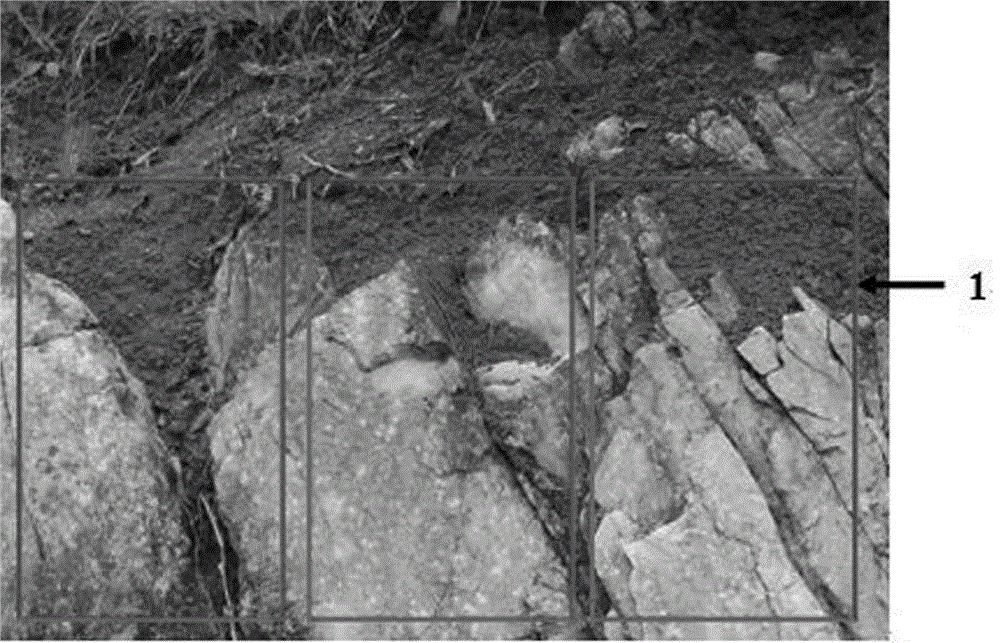 Method for collecting information of underground pores and cracks and soil of karst