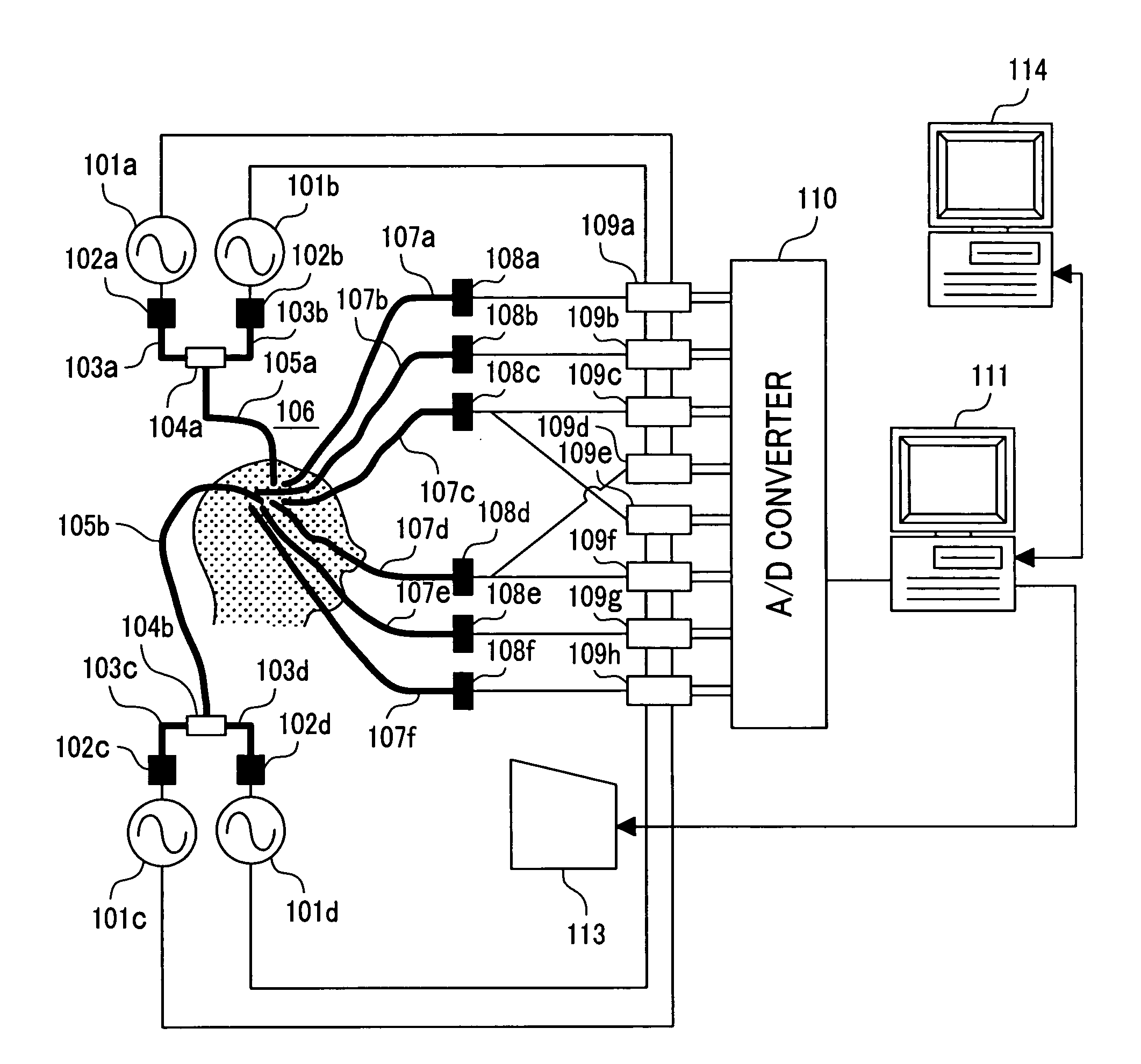 Optical measurement system for living bodies and method thereof