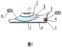 Solar illumination warm-keeping shoes