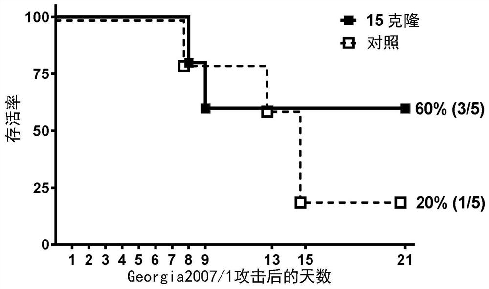 Immunogenic compositions and vaccines comprising african swine fever virus peptides and proteins and uses thereof