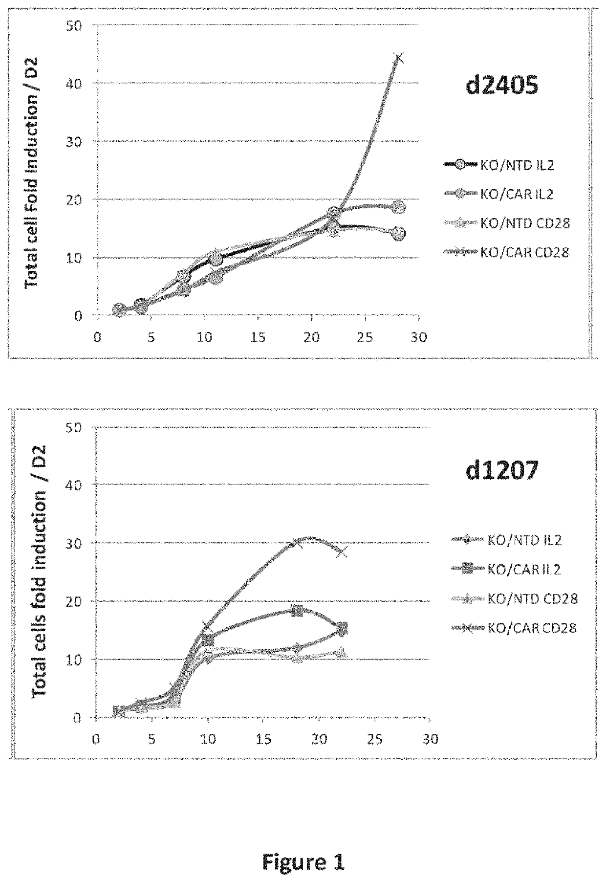 CD19 specific chimeric antigen receptor and uses thereof