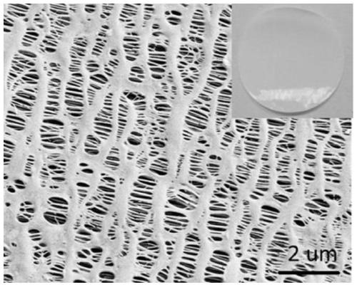 Preparation method of lithium-sulfur battery diaphragm barrier layer based on two-dimensional nano-clay