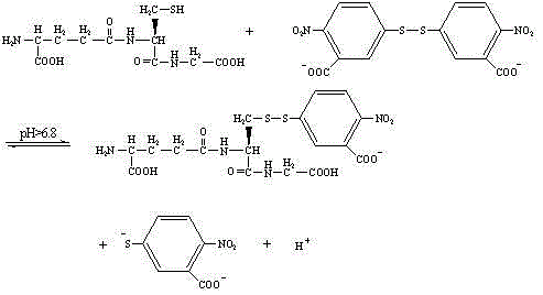 A kit for detecting the modification ability of protein alkylation modifier peg and using method thereof