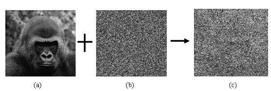 Random encryption and double-blind confidential matching method for images