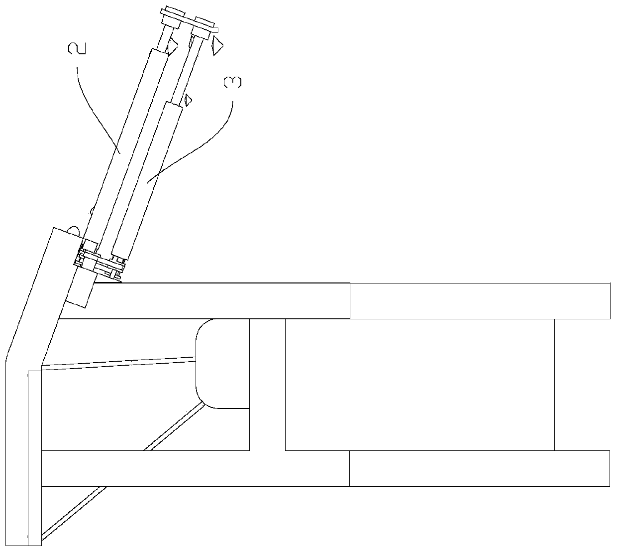 Sorting and tail cutting machine for field snails