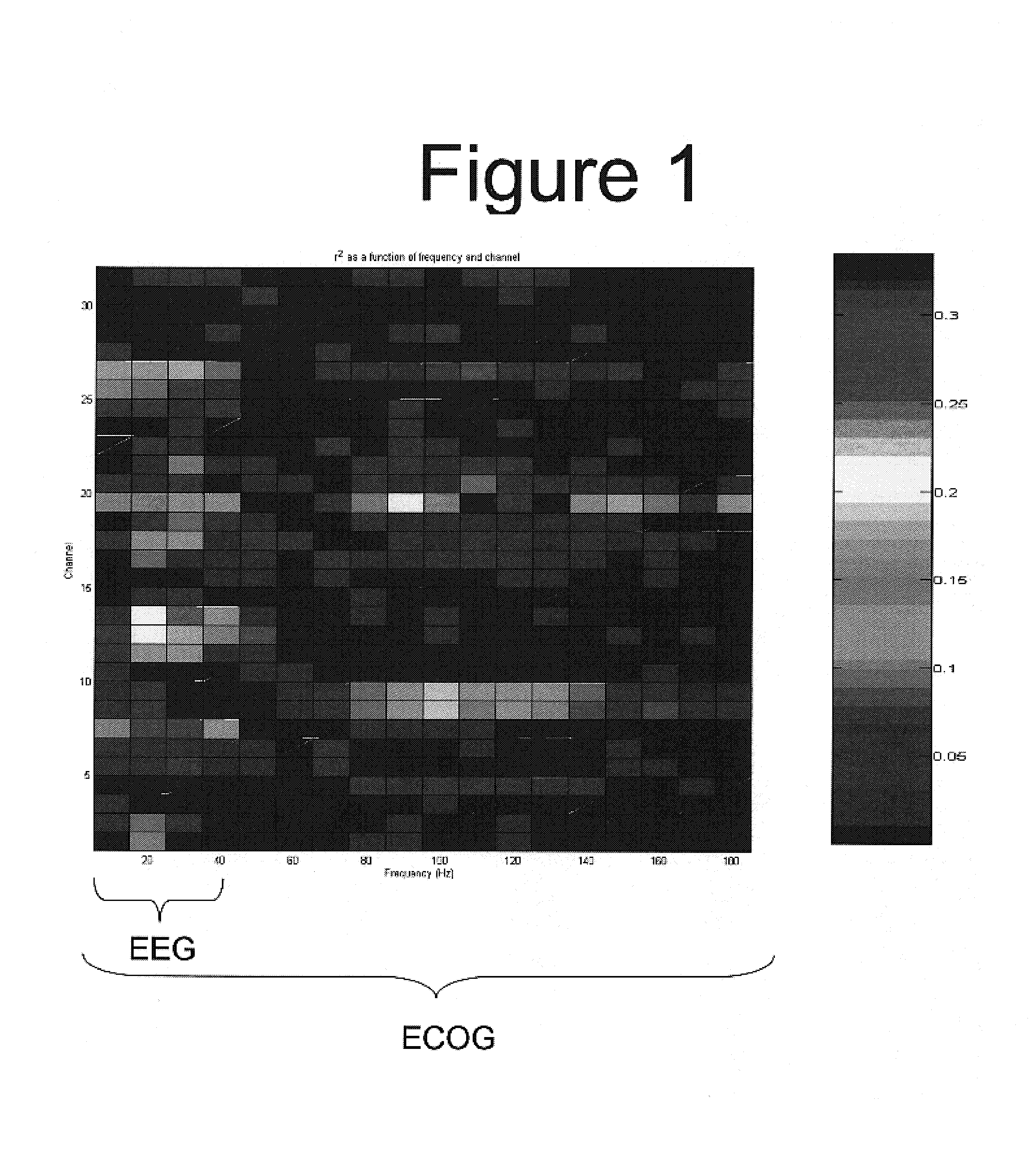 Brain computer interface