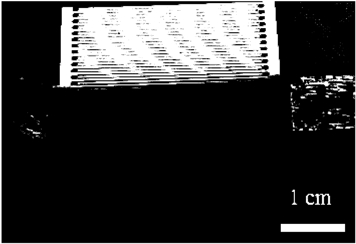 Graphene thin film electrode, preparation method thereof, graphene composite thin film interdigital electrode with conductive line formed on surface and capacitor