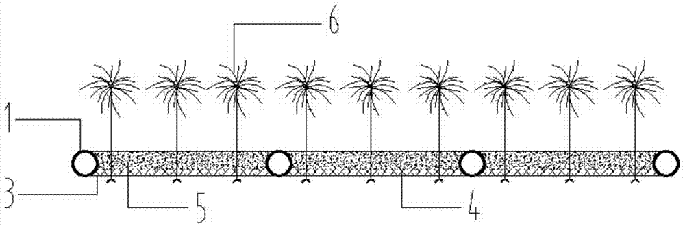 Ecological floating bed for remediation of oil-polluted water bodies