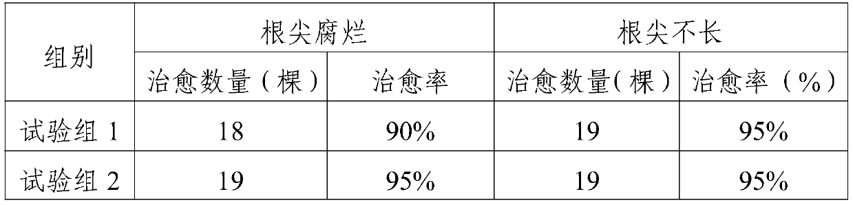 Water-soluble fertilizer for radically treating dead seedlings and rotted roots of vegetables and fruit trees in continuous cropping