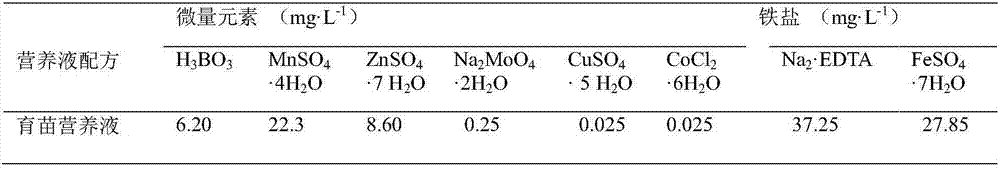 Integrated high propagation method of water planting of virus-free potato seeds and seedlings