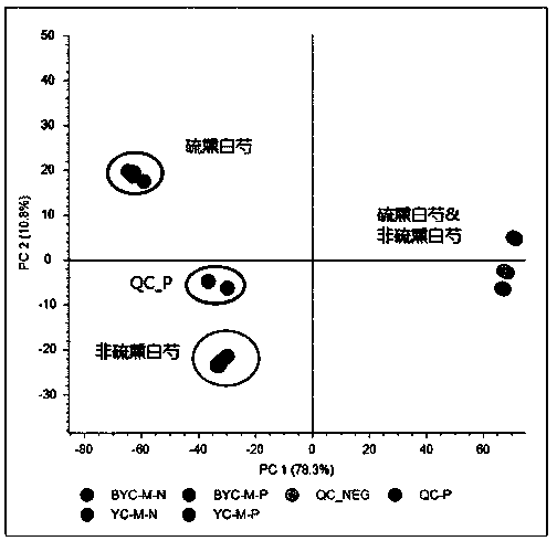 Method of quickly screening difference of dry sulphitation radix paeoniae alba and non-dry sulphitation radix paeoniae alba by UPLC-MS-MS