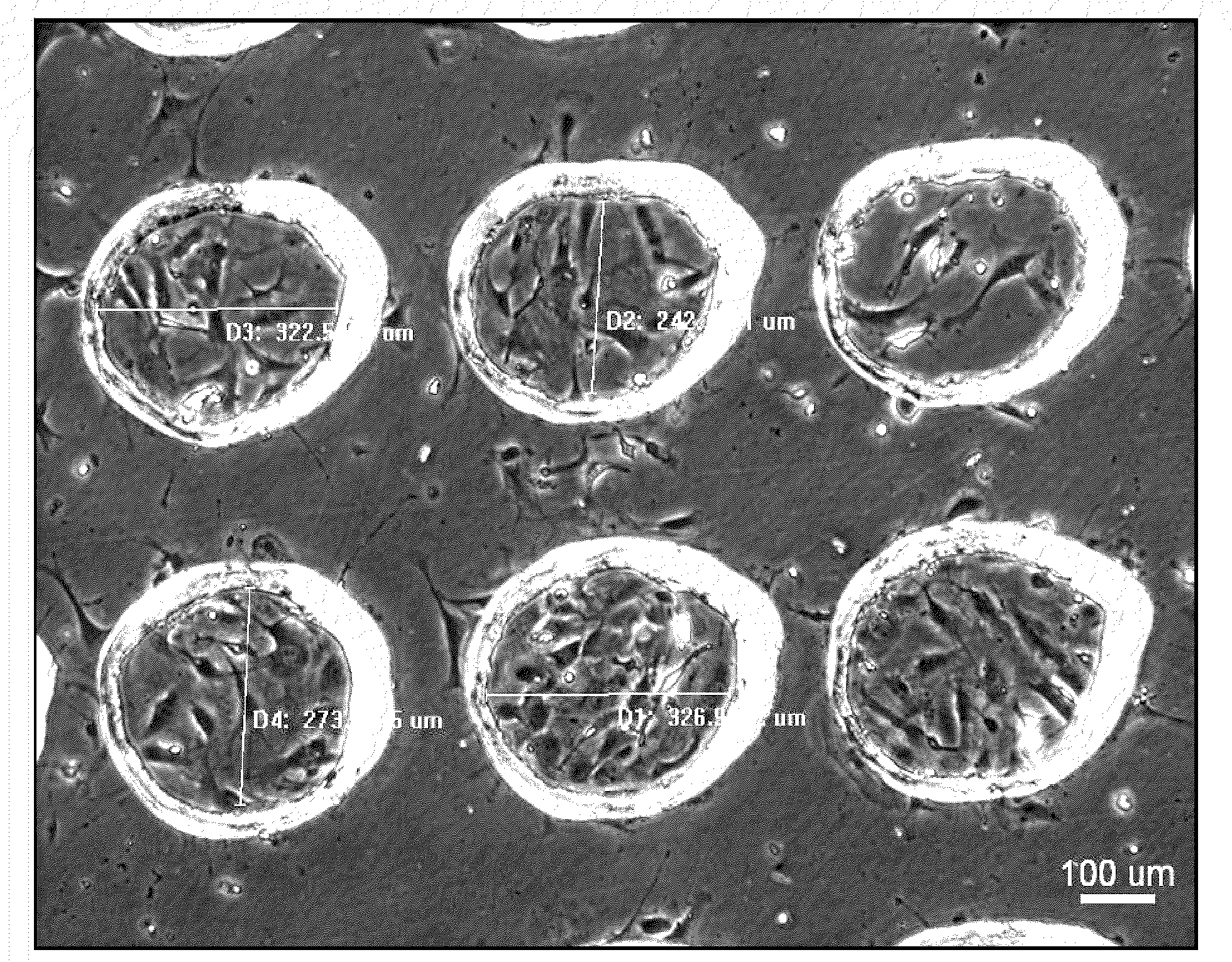 Cell pattern and method for producing the same