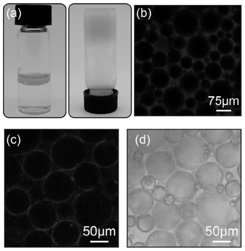 Pickering emulsion gel based on mutual attraction of liquid drops and preparation method of Pickering emulsion gel