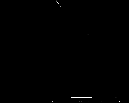 Preparation method and application of octahedron-shaped cobaltosic oxide anode material for lithium ion battery