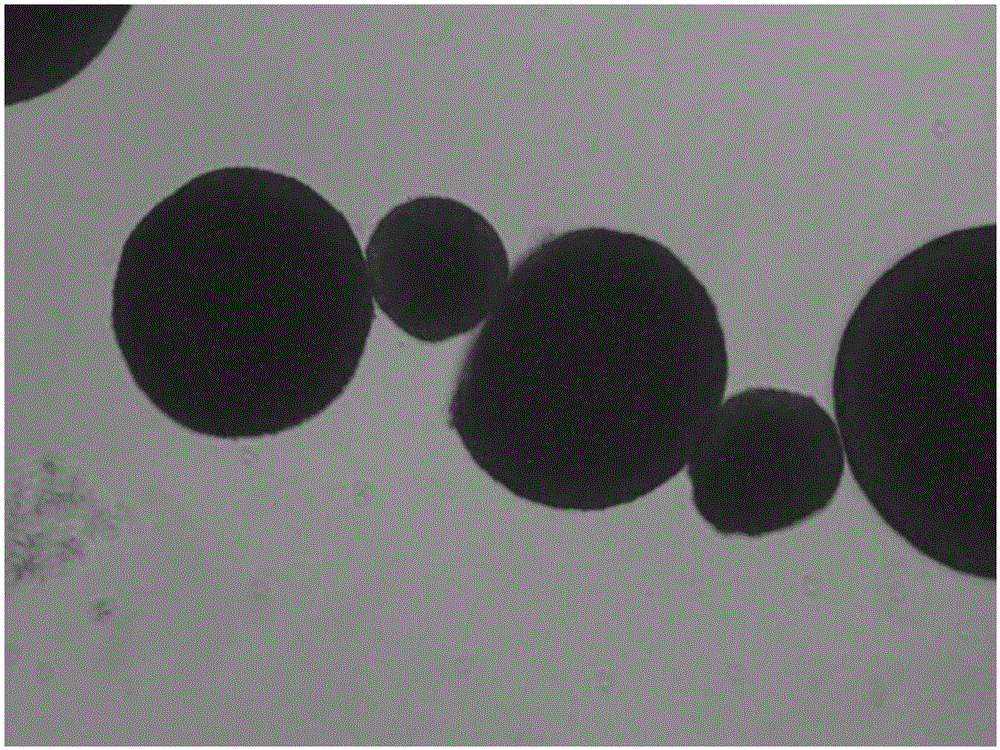 Neural stem cells medium and method for performing human neural stem cells in-vitro long-term culture and amplification by using neural stem cells medium