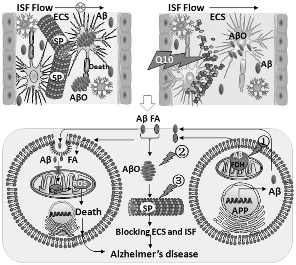 A composition for treating senile dementia, its preparation method and application