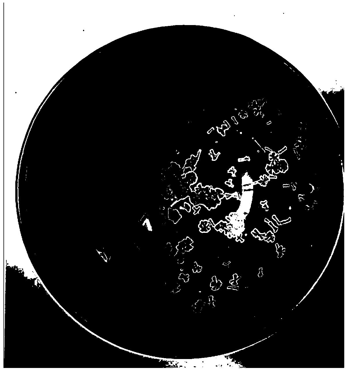 Piebald crystalline glaze and firing method thereof